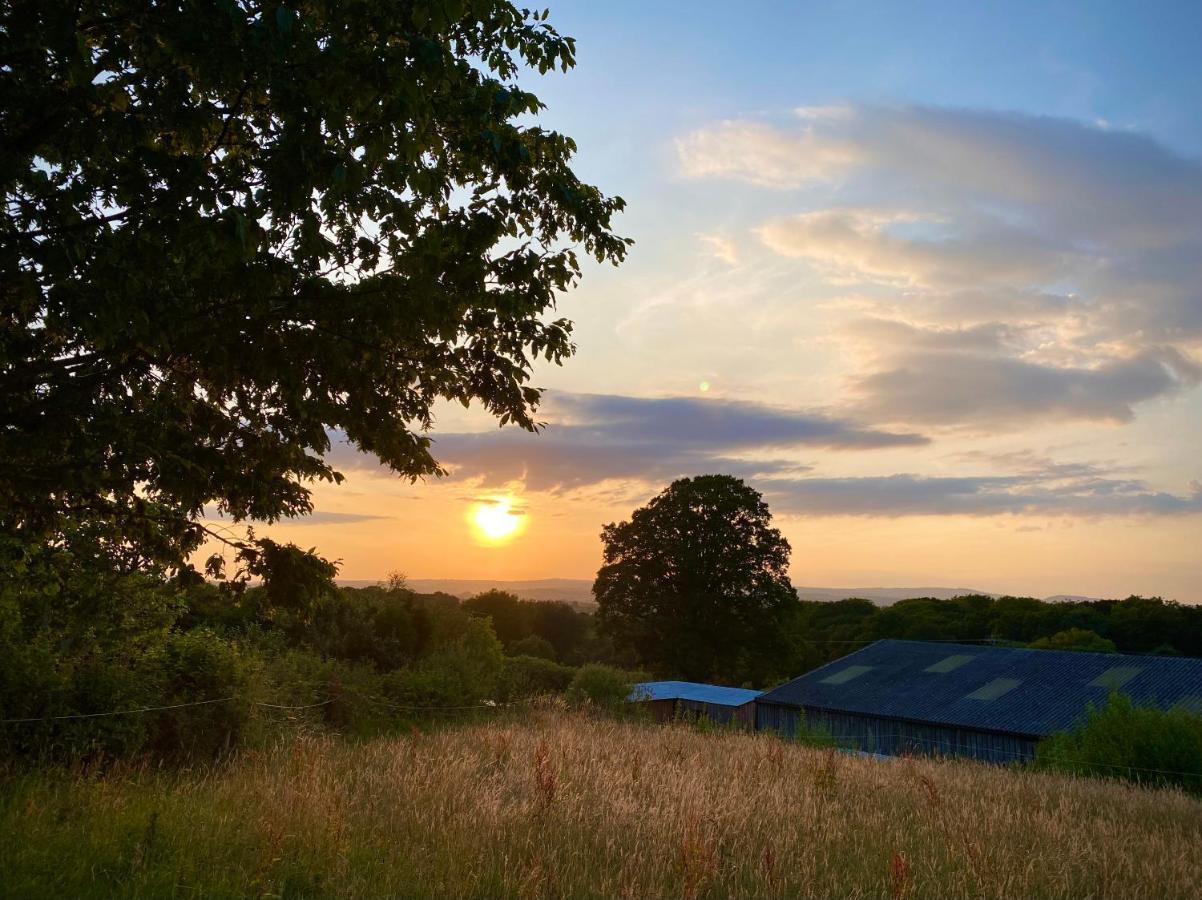Cherry Tree Glamping Lodge Wellington  Exterior foto